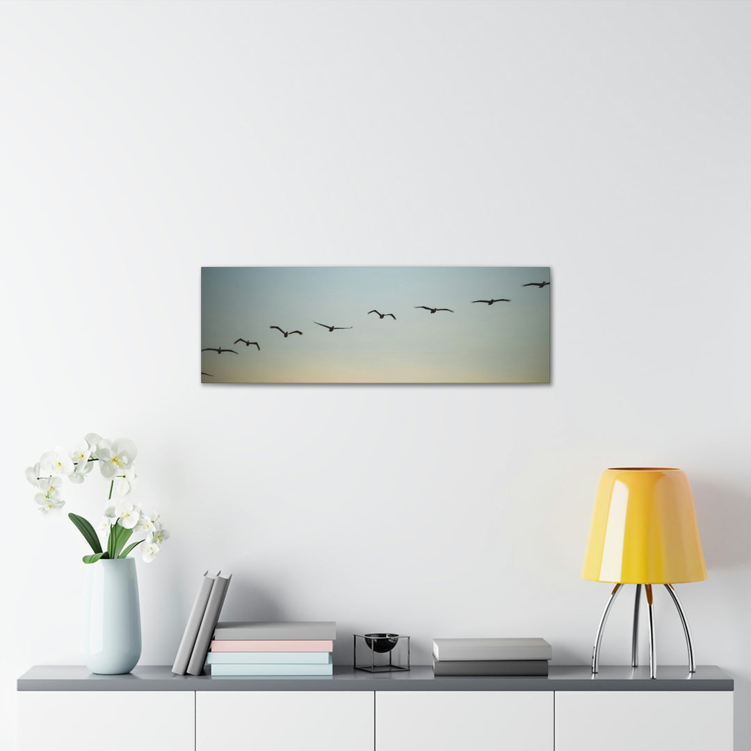 Brown Pelicans in Flight - Canvas