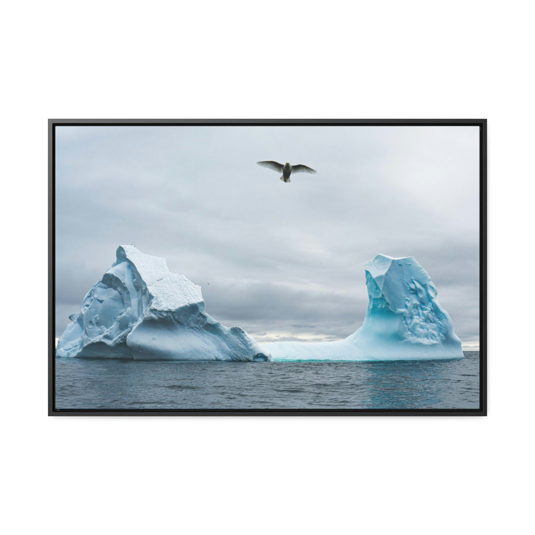 Antarctic Flight - Canvas with Frame