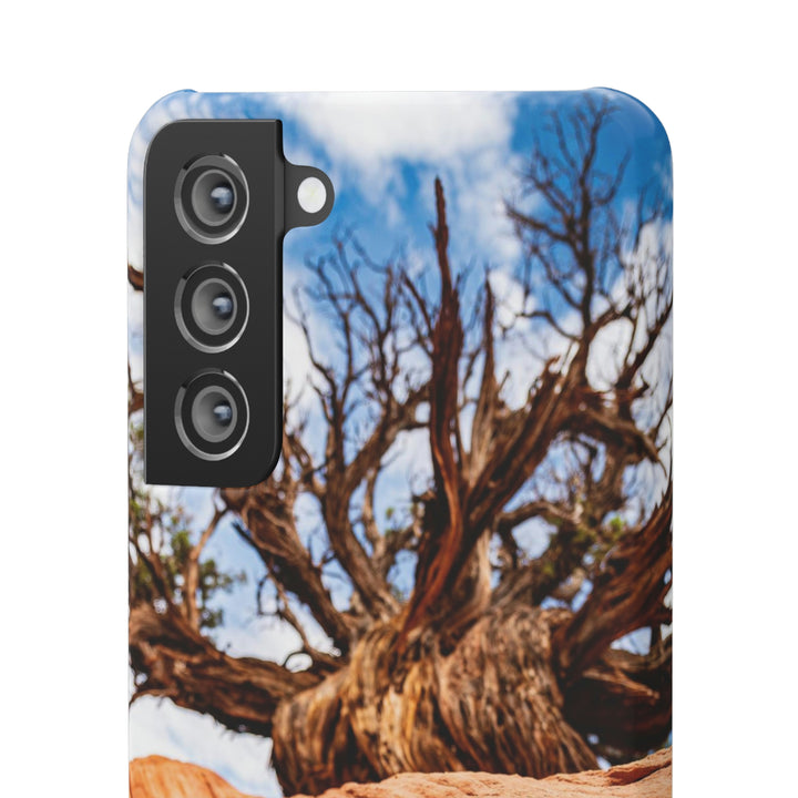 Desert Reach - Phone Case