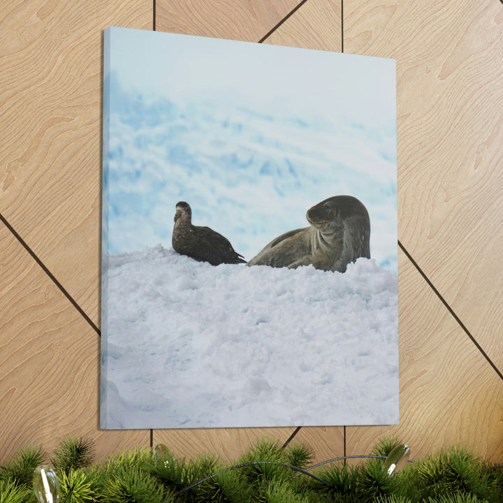 A Resting Pair - Canvas