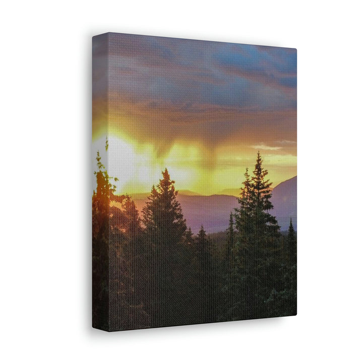 Rainy Sunset Through the Trees - Canvas