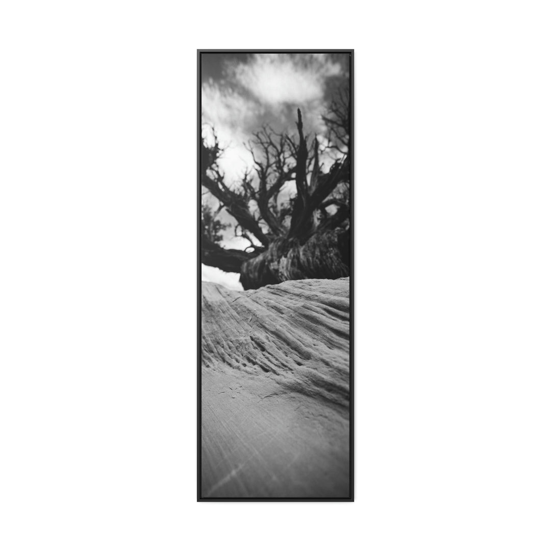 Desert Reach in Black and White - Canvas with Frame