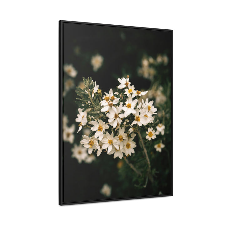 A Touch of White - Canvas with Frame