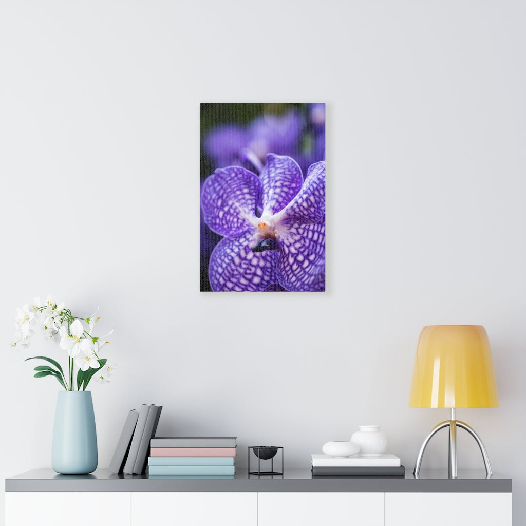 Orchid Detail - Canvas