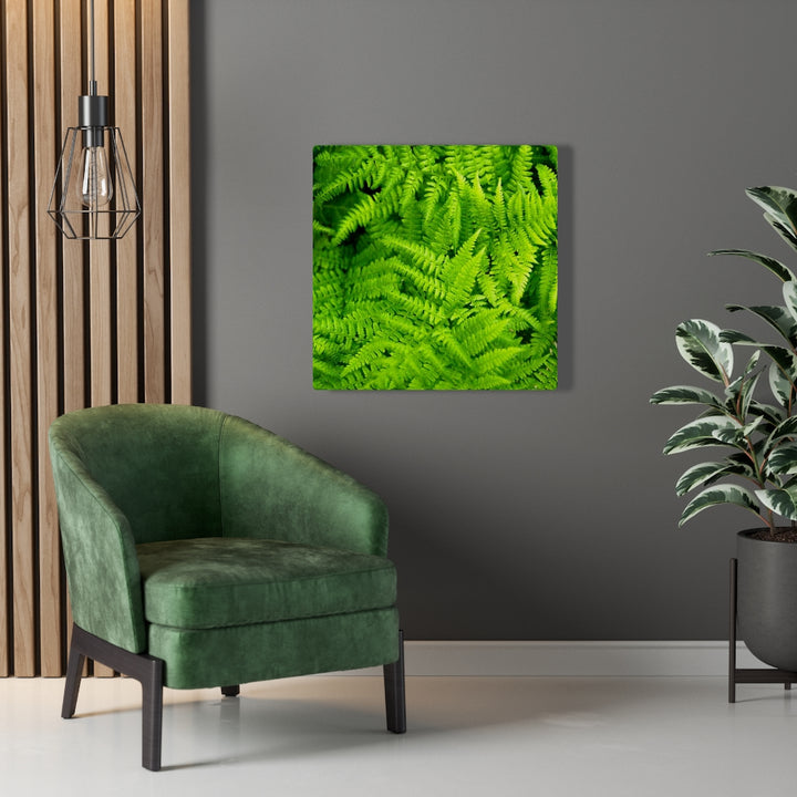 Ferns, Ferns, Ferns - Canvas