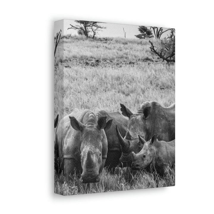 Rhino Family in Black and White - Canvas