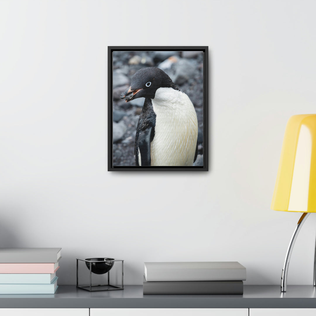 A Penguin's Pebble - Canvas with Frame