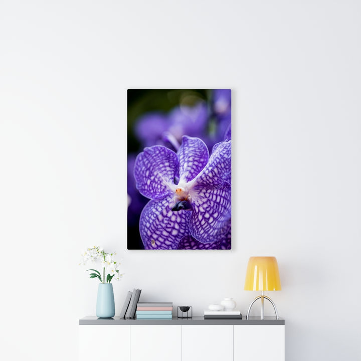 Orchid Detail - Canvas