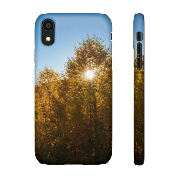 Sun Through the Aspens - Phone Case