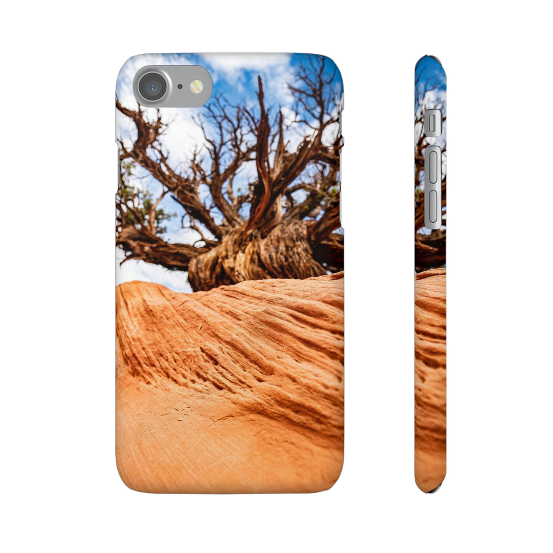 Desert Reach - Phone Case