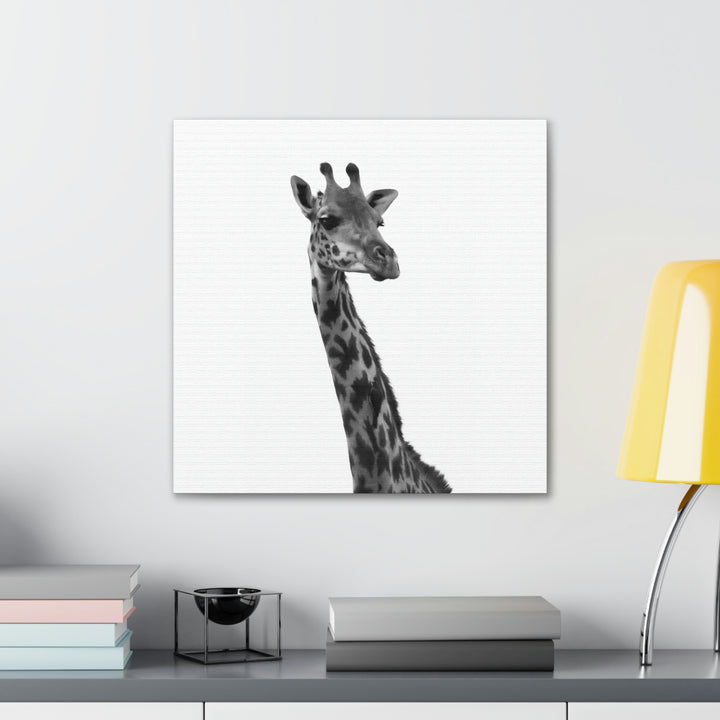 Giraffe Portrait in Black and White  - Canvas