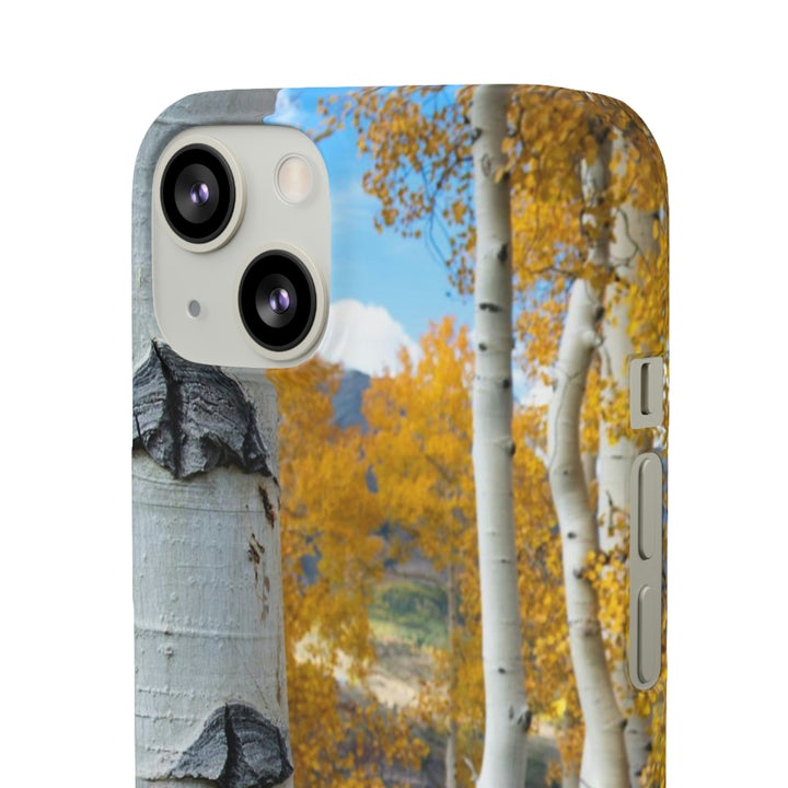 Aspens Changing - Phone Case