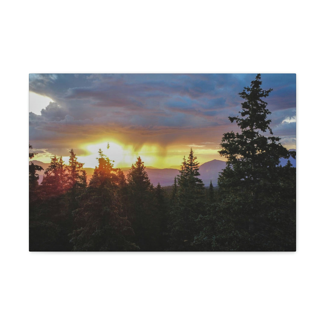 Rainy Sunset Through the Trees - Canvas