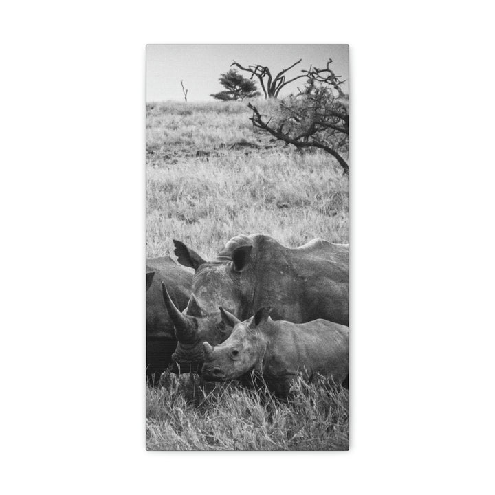 Rhino Family in Black and White - Canvas