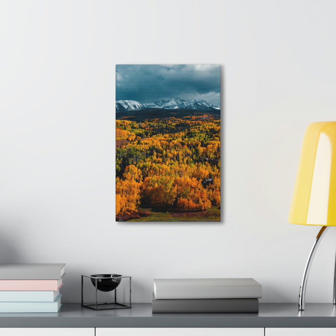 Golds of Autumn - Canvas