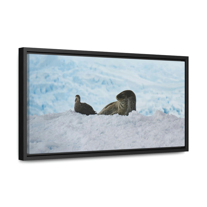 A Resting Pair - Canvas with Frame