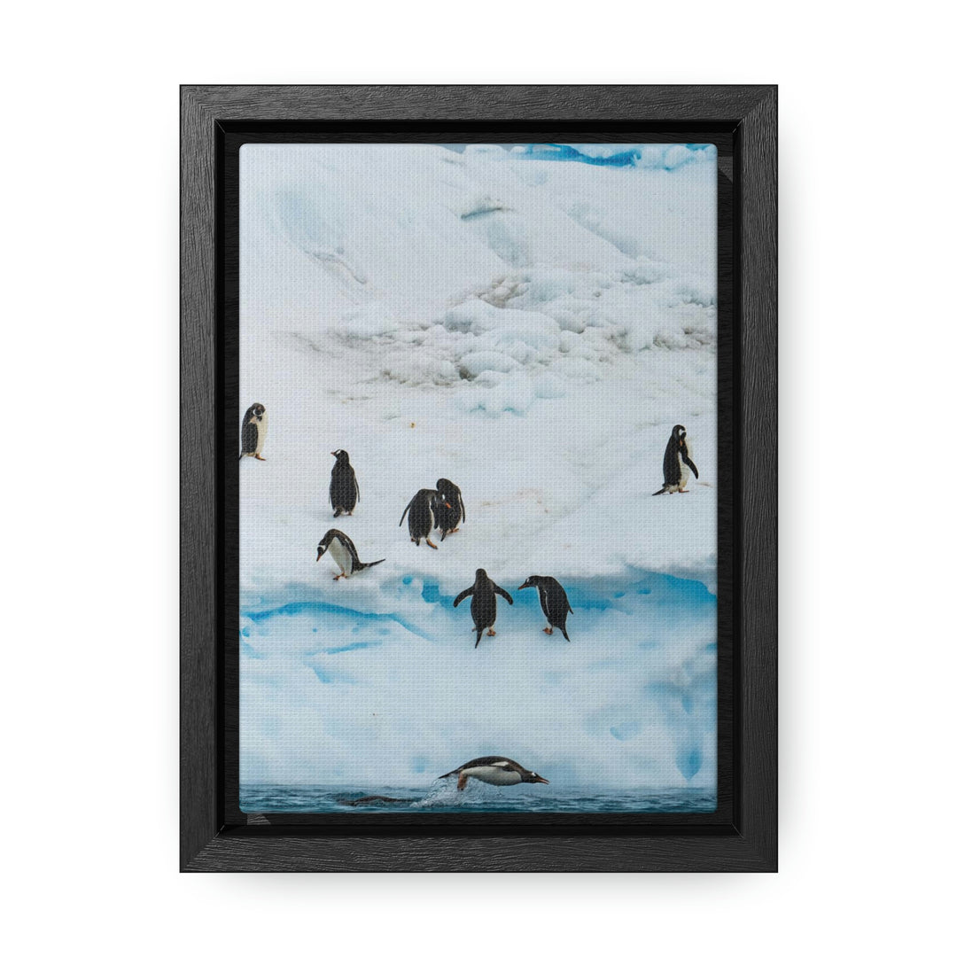 Porpoising Penguin - Canvas with Frame