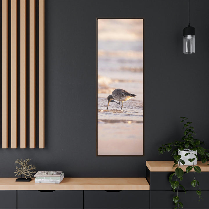 Willet Itch - Canvas with Frame