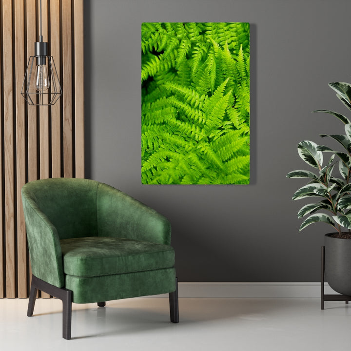 Ferns, Ferns, Ferns - Canvas