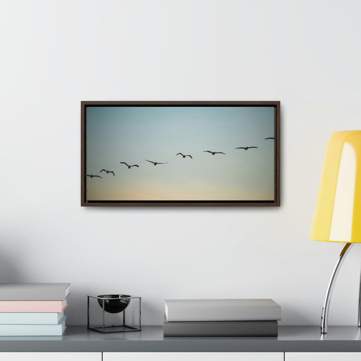 Brown Pelicans in Flight - Canvas with Frame