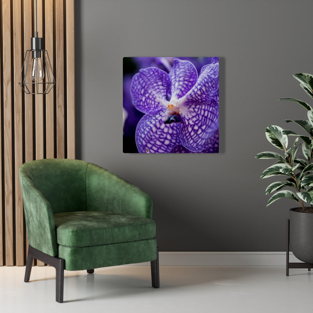 Orchid Detail - Canvas