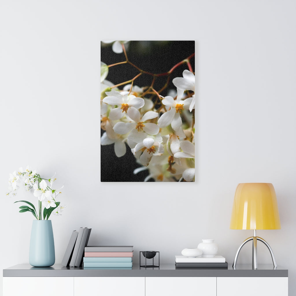 Floral Network - Canvas