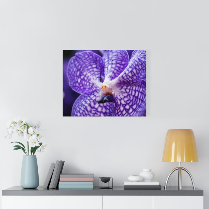 Orchid Detail - Canvas