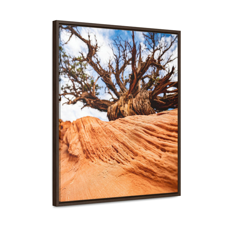 Desert Reach - Canvas with Frame