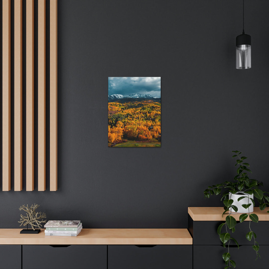 Golds of Autumn - Canvas