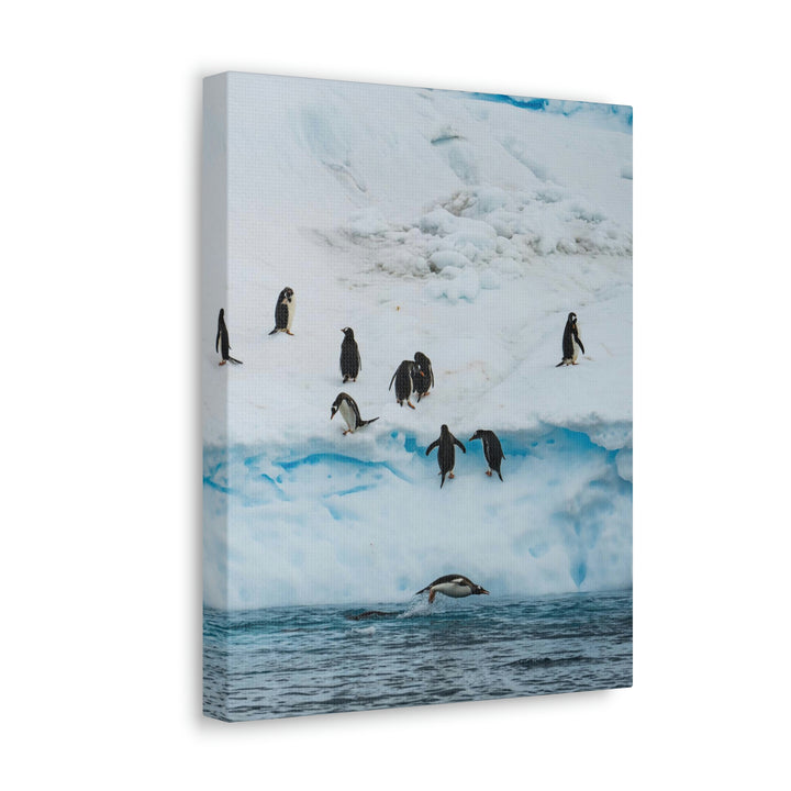 Porpoising Penguin - Canvas