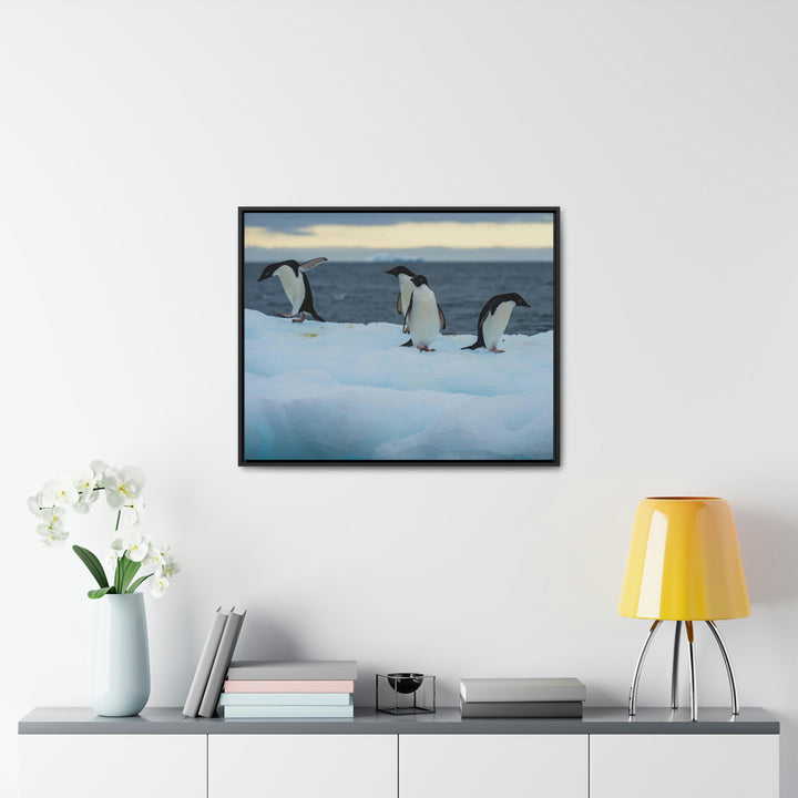 Penguin Dance - Canvas with Frame