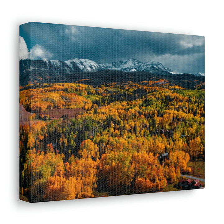 Golds of Autumn - Canvas