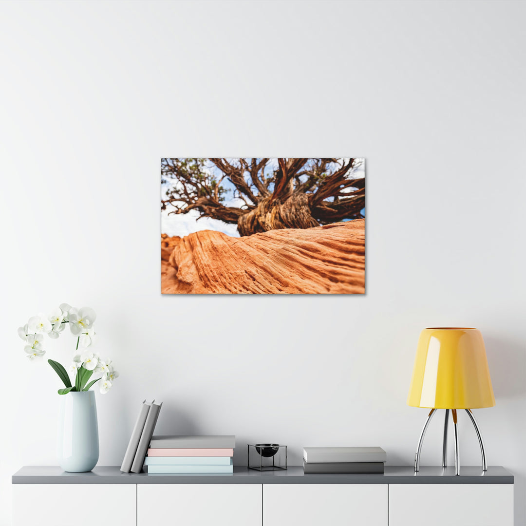 Desert Reach - Canvas