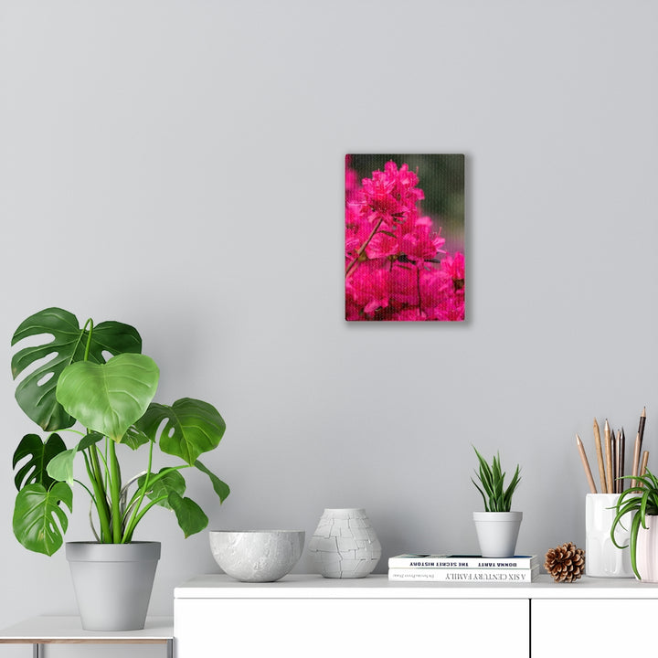 Full Bloom - Canvas