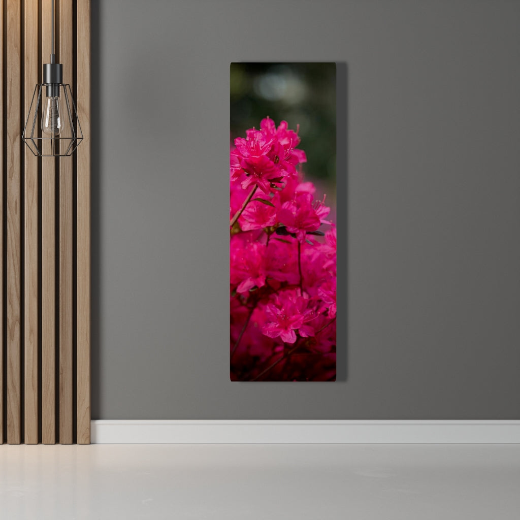 Full Bloom - Canvas