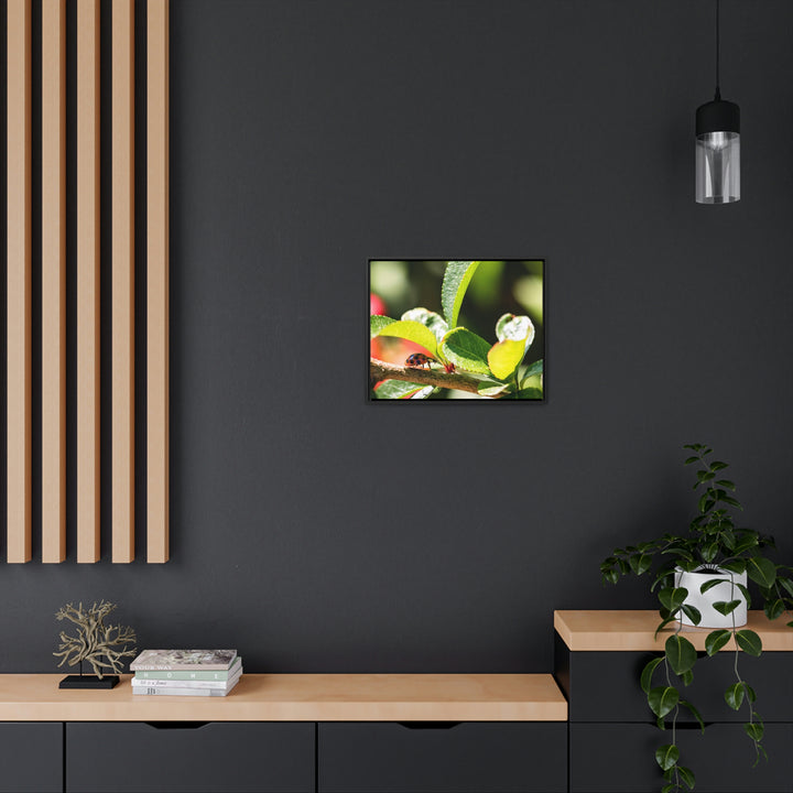 Spotted Investigation - Canvas with Frame