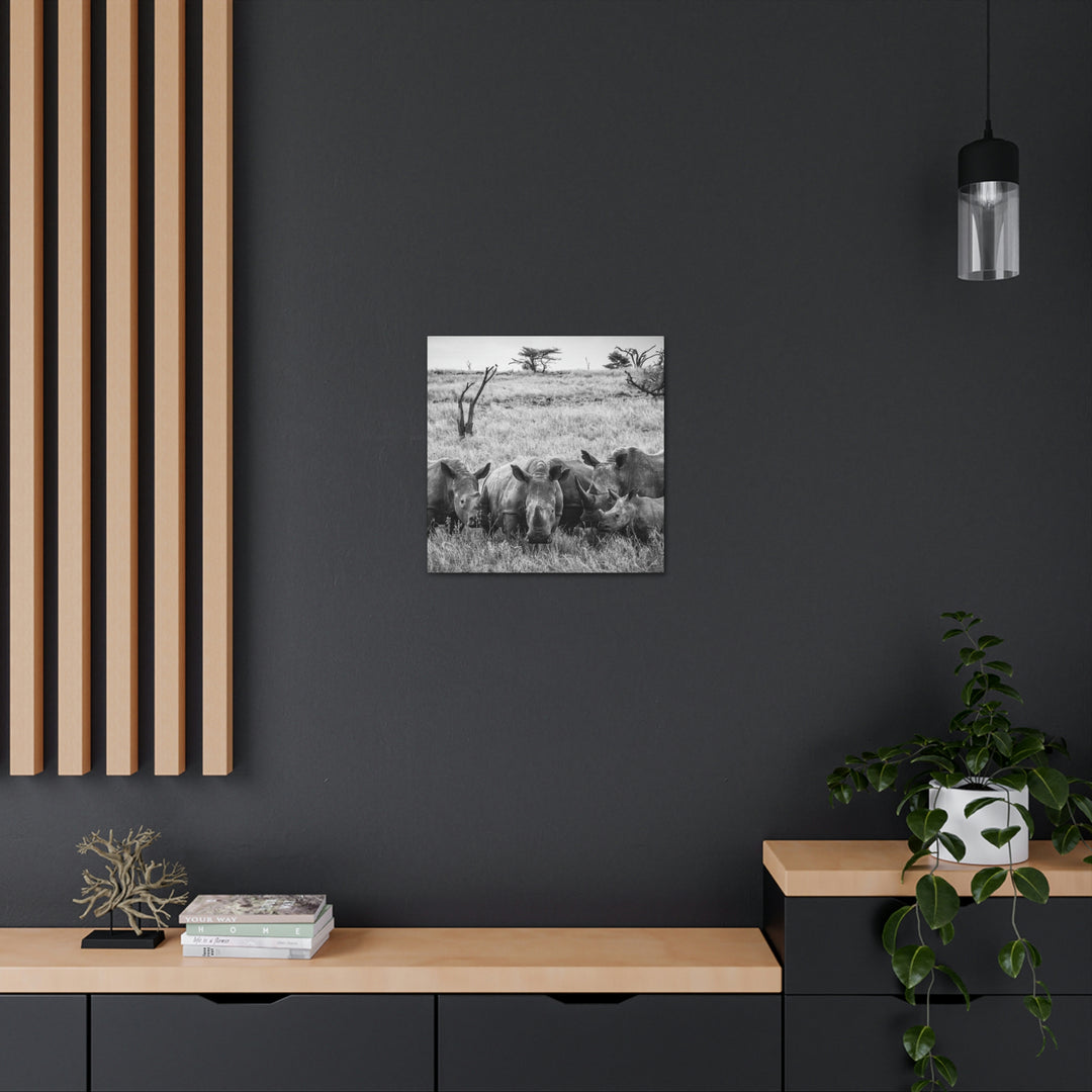 Rhino Family in Black and White - Canvas