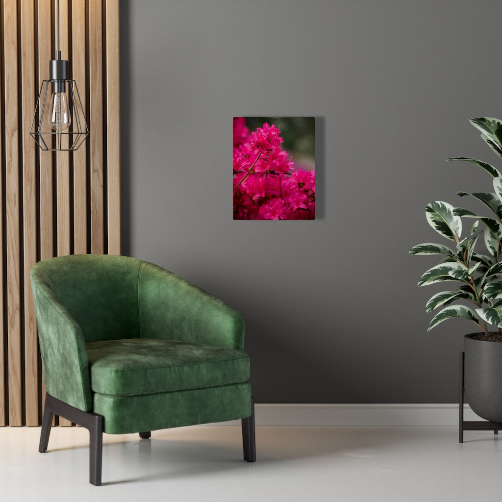 Full Bloom - Canvas