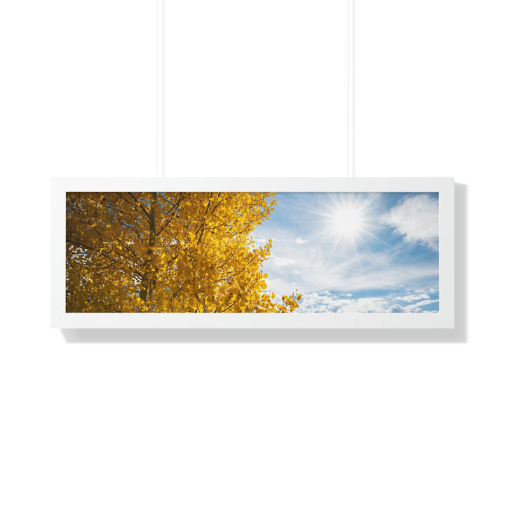 Golden Sunshine - Framed Print