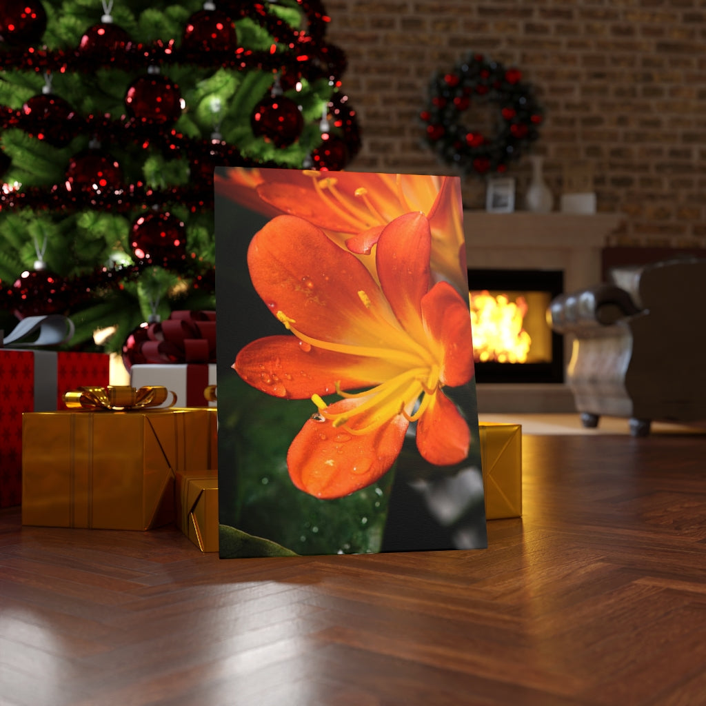 Bright Bush Lily - Canvas