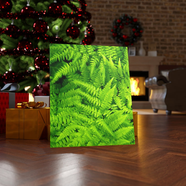 Ferns, Ferns, Ferns - Canvas