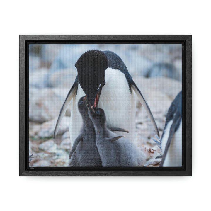 Feeding Time - Canvas with Frame