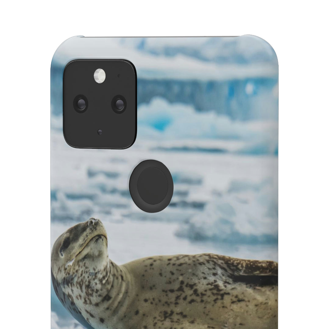 Leopard Seal Relaxing - Phone Case