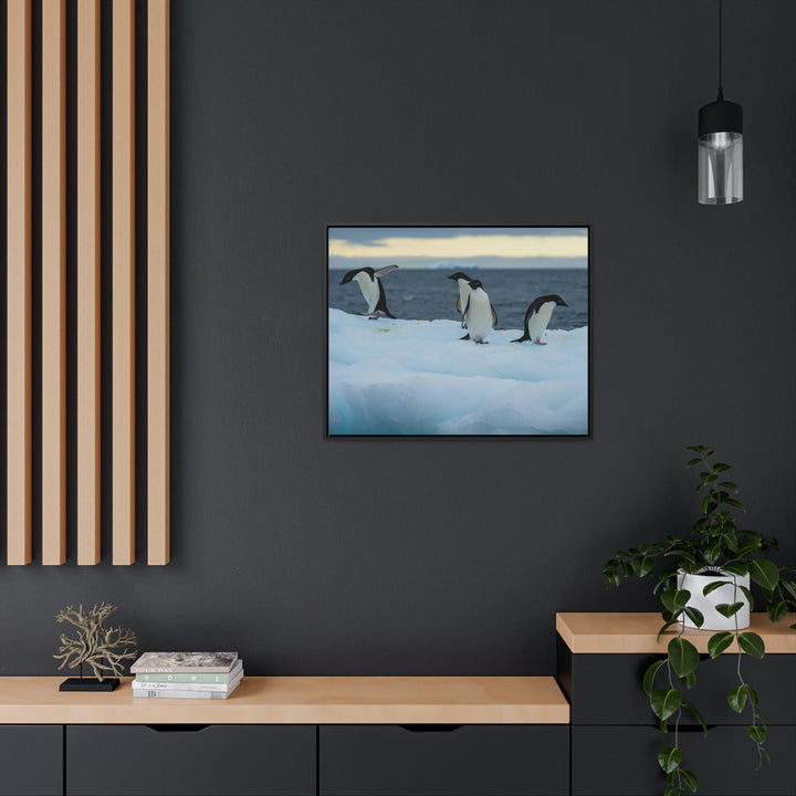 Penguin Dance - Canvas with Frame