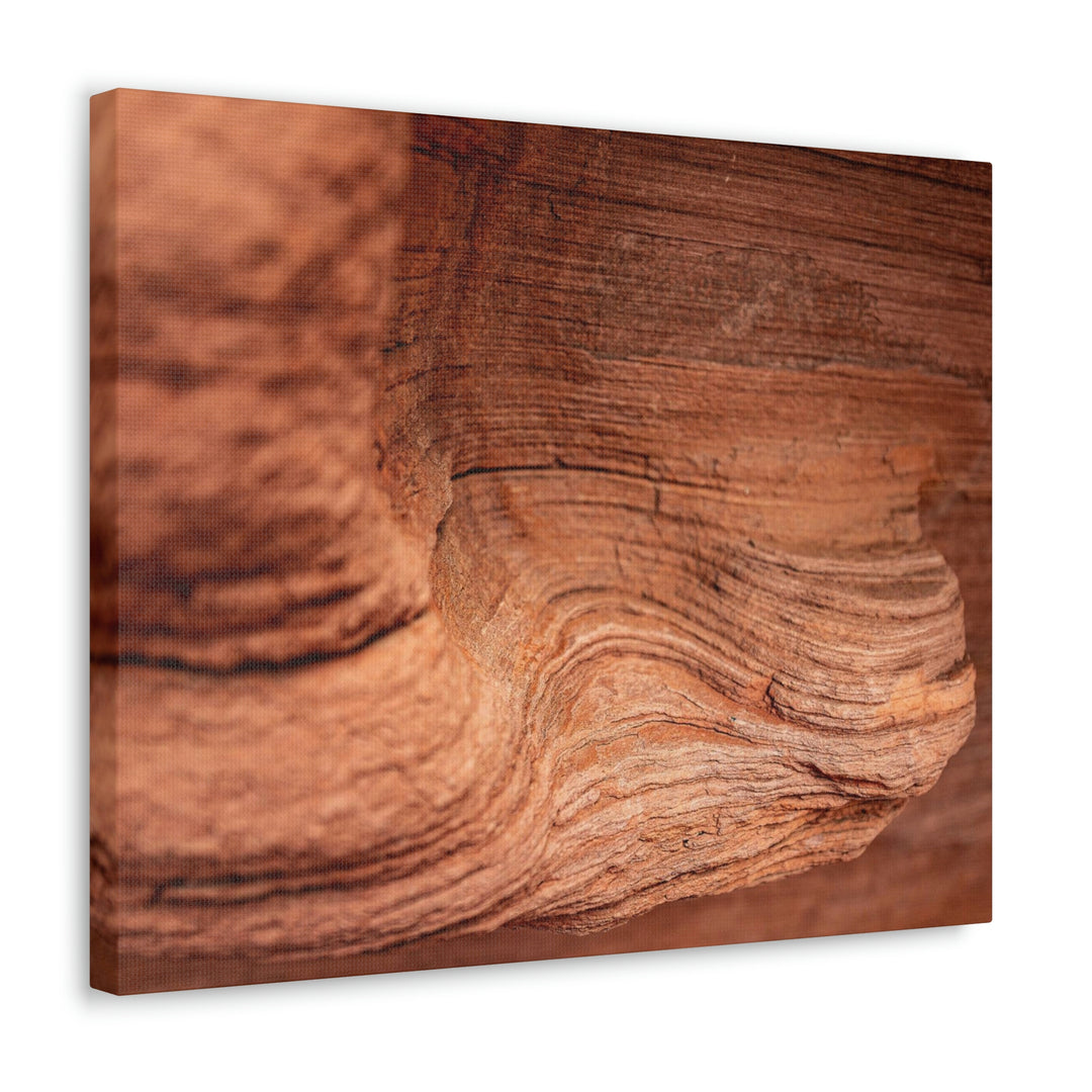 Sedimentary Rock Curves - Canvas