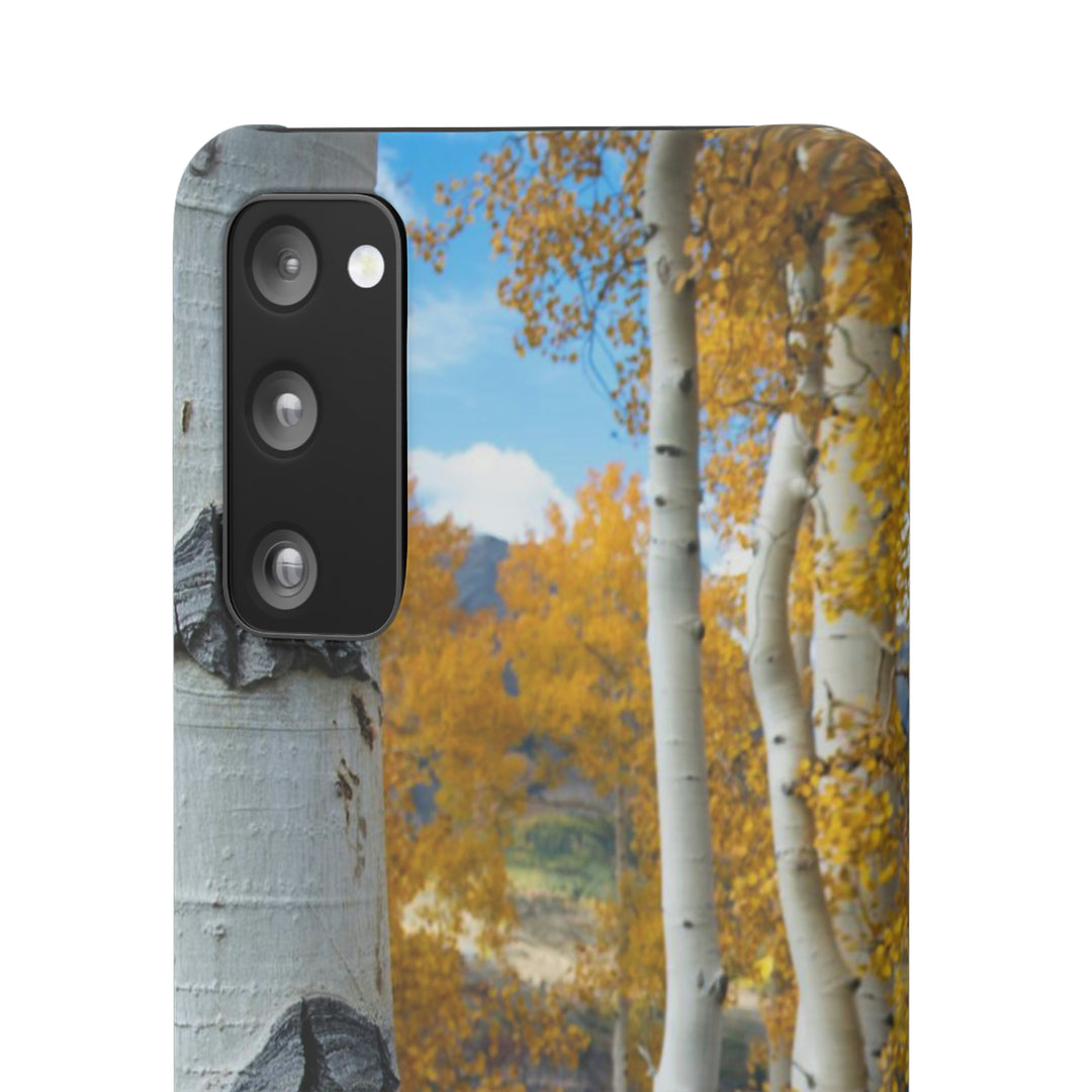 Aspens Changing - Phone Case