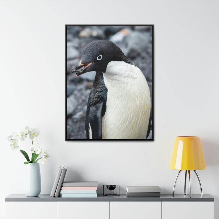 A Penguin's Pebble - Canvas with Frame