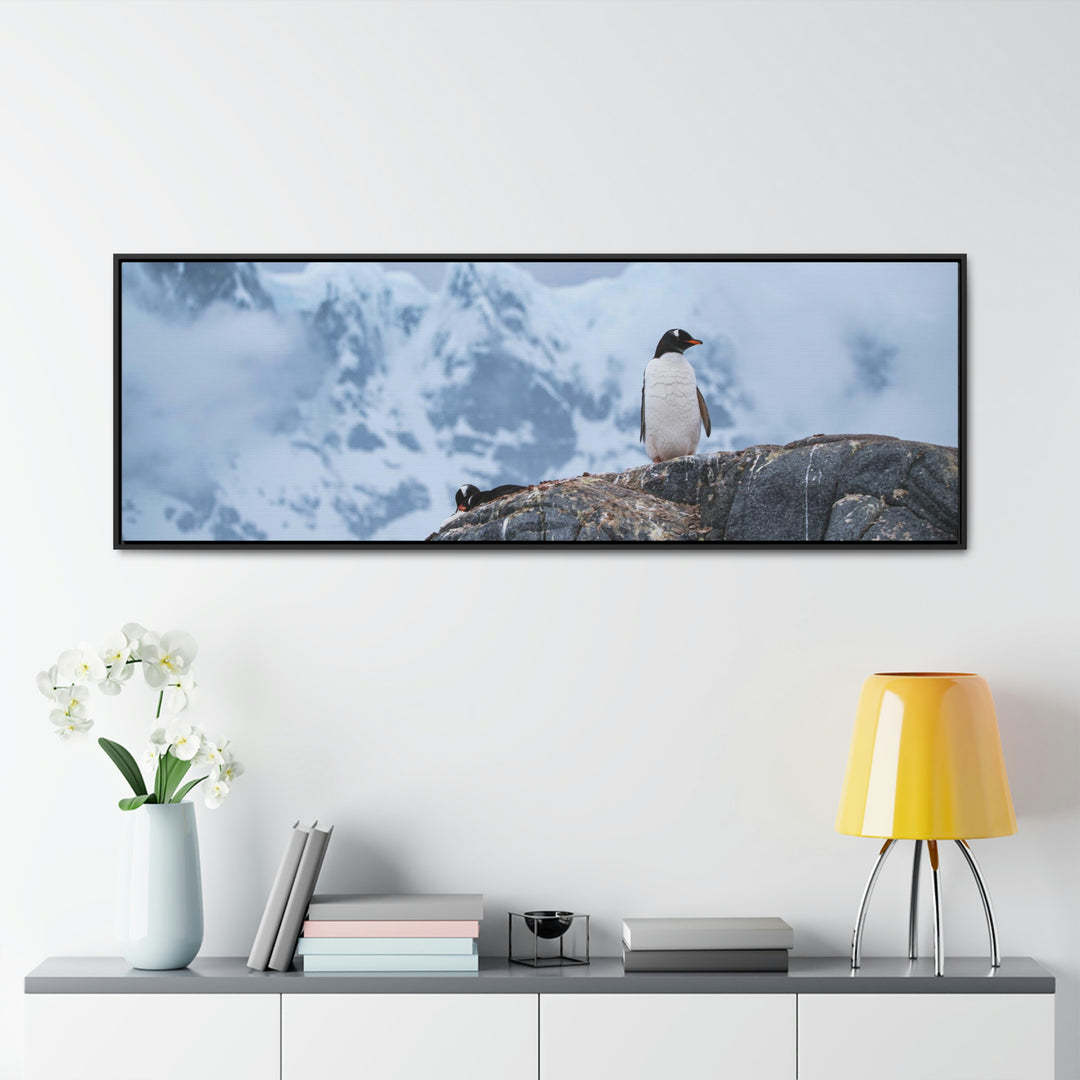 Poised Penguin - Canvas with Frame