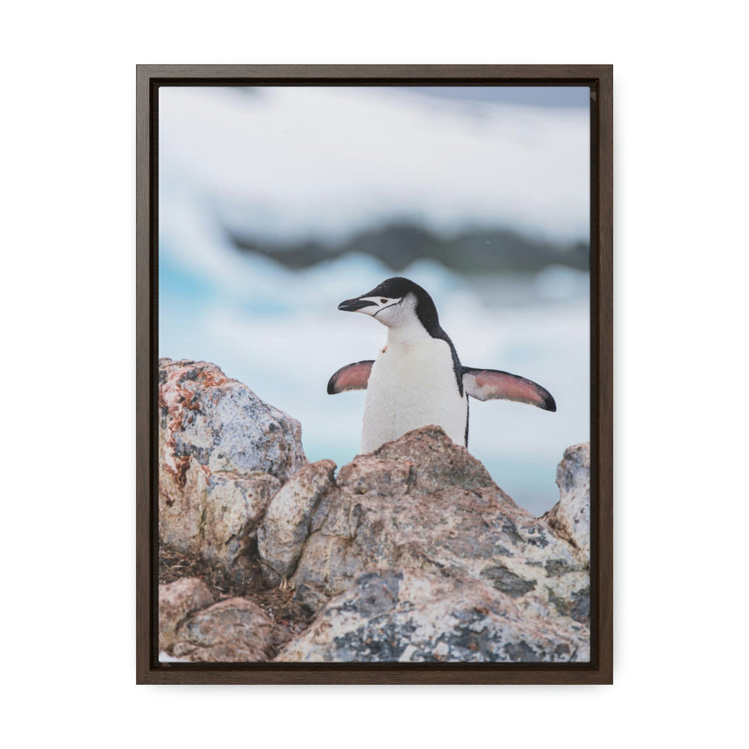 Stretched Penguin - Canvas with Frame