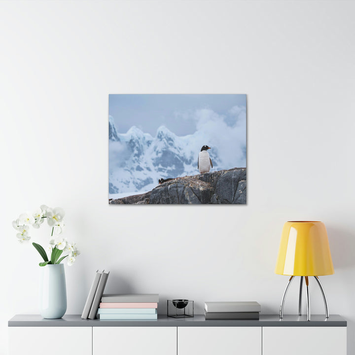 Poised Penguin - Canvas